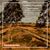 Andrzej Panufnik: Orchesterwerke Vol. 6, CD