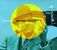 Harry Manx & Kevin Breit: Strictly Whatever, CD