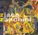 Ratko Zjaca: The Way We Talk, CD