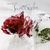 Secret Garden: Winter Poem, CD