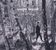 Martin Tingvall (geb. 1974): En Ny Dag (Limited Edition), LP