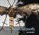 Mechanical Moth: Unendlichkeit, CD