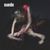 Suede: Bloodsports + Bonus, CD
