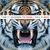 30 Seconds To Mars: This Is War, CD