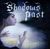 Shadows Past: Perfect Chapter, CD