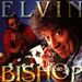 Elvin Bishop: Ace In The Hole, CD