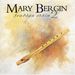 Mary Bergin: Feadoga Stain 2, CD