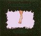 Rabih Abou-Khalil: Morton's Foot, CD