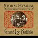 Grant Lee Buffalo: Storm Hymnal: Gems From The Va, CD