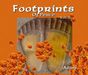 Ailon: Footprints Of Peace Vol.1, CD