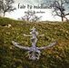 Fair To Midland: Arrows & Anchors, CD