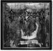 Armagedda: Völkermord/The Appearance, CD
