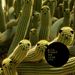 Luke Vibert: We Hear You, 3 LPs