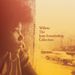Joan Armatrading: Willow: The Collection, 2 CDs