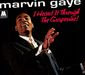 Marvin Gaye: I Heard It Through The Grapevine (180g), LP