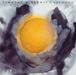 Timothy B. Schmit  (Eagles): Expando, CD