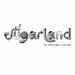 Sugarland: The Incredible Machine, CD
