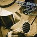 Eric Bibb: Livin Lovin & Doin, CD