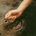 Bruce Cockburn: Circles In The Stream - Live, CD