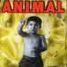 A. N. I. M. A. L.: Poder Latino, CD