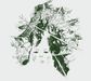 Crossover: Cryptic & Dire Sallow Faced Hoods..., CD