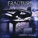 Fracture: Simple Chaos, CD