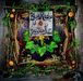 Blue Rodeo: Greatest Hits Vol. 1, CD