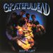 Grateful Dead: Built To Last (180g), LP