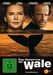 Das Geheimnis der Wale, DVD