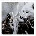 Casper: XOXO (2LP + CD), 2 LPs