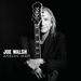 Joe Walsh: Analog Man (CD + DVD) (Limited Deluxe Edition), CD