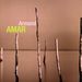 Armand Amar: Retrospective, 2 CDs