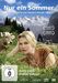Nur ein Sommer, DVD