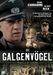 Die Galgenvögel, DVD