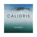 Holger Mummert: Calidris, CD
