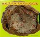 Dozenthology: Petrifiziert, CD