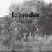Labrador: This Time, CD