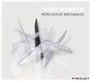 Anna Webber  (geb. 1984): Percussive Mechanics, CD