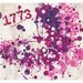 1773: Return Of The New, CD
