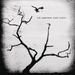 Airborne Toxic Event: The Airborne Toxic Event +2, CD