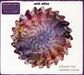 Anti-Atlas: Between Two/Between Voices, 2 CDs