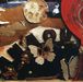 All New Adventures Of U: Best Loved Goodnight Ta, CD