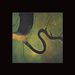 Dead Can Dance: The Serpents Egg, LP