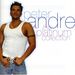 Peter Andre: Platinum Collection, CD