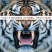 30 Seconds To Mars: This Is War, CD
