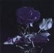 Black Rose: Rainbow In Your Eyes, CD