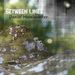Daniel Haselwanter: Between Lines, CD