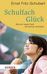 Ernst Fritz-Schubert: Schulfach Glück, Buch