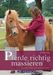 Claudia Jung: Pferde richtig massieren, Buch