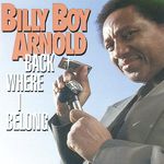 Billy Boy Arnold: Back Where I Belong, CD